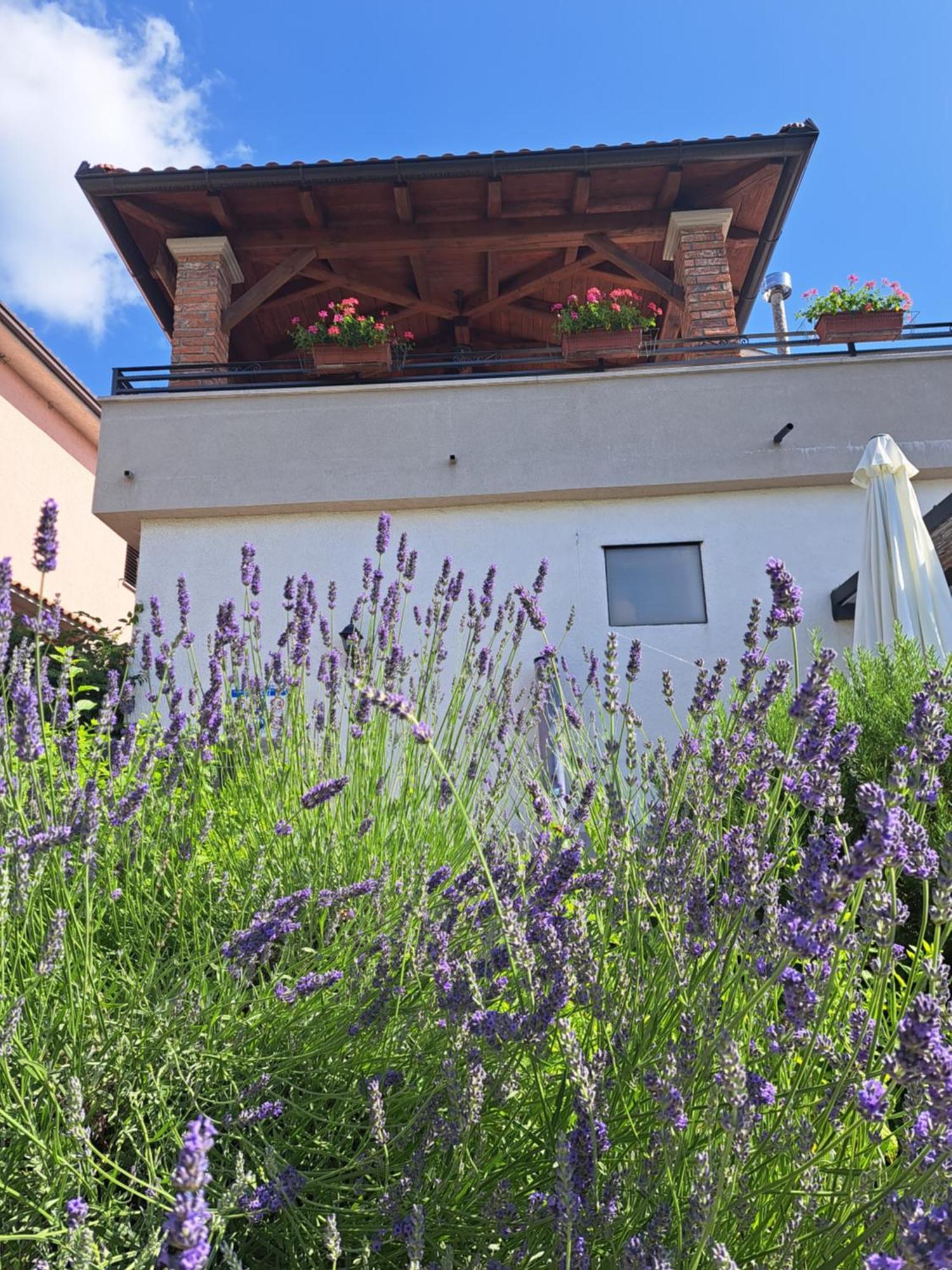 Holiday home Ivana *