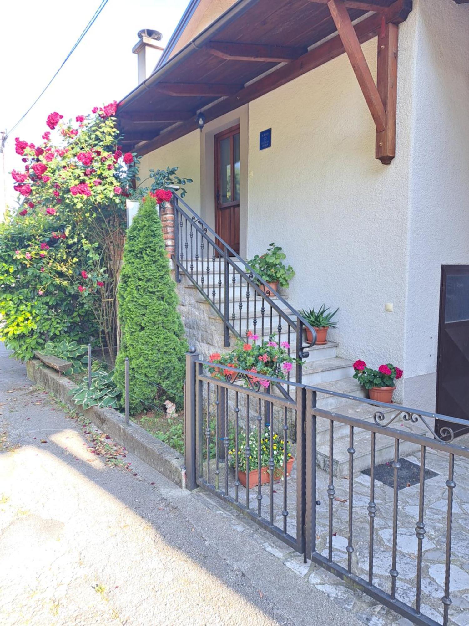 Ivana Holiday home Pasjak