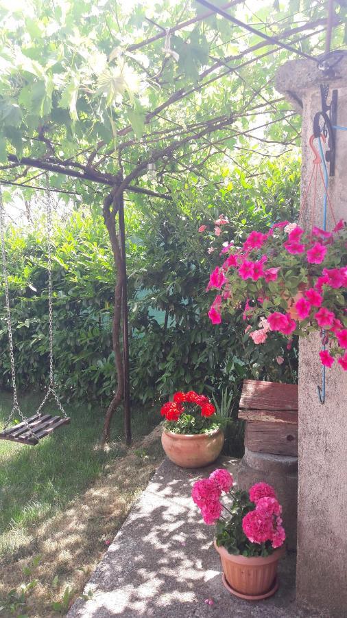 Ivana Holiday home *
