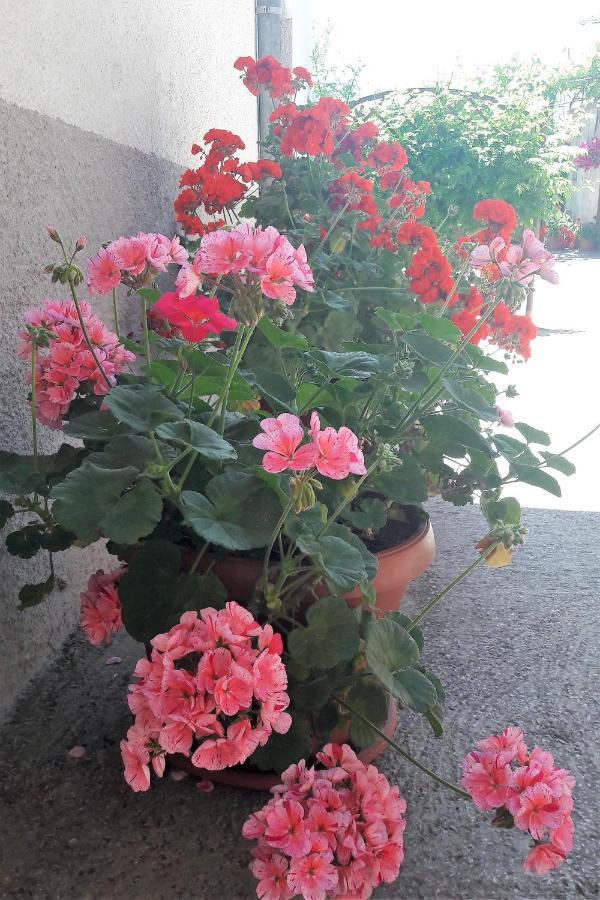 Ivana Holiday home Pasjak